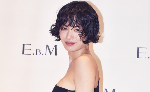 나나 자택 침입한 강도사건 전말